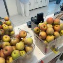 무제 외6건 이미지