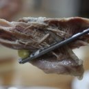 다슬기삼계탕 이미지