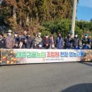 제주감귤농업협동조합중문지점 이미지