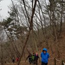아라메길(도비산) 이미지