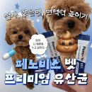 페노비스 벳 유산균 강아지 퍼피 유산균 솔직 후기 동물병원·동물약국 입점 제품 (설사 묽은변 노견...