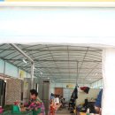 김유자농장 이미지