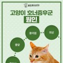 왜관동물병원 이미지