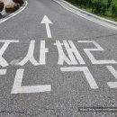 산채원 | 강원 홍천] 홍천 가볼 만한 곳 홍천무궁화수목원