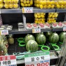 와이식자재마트 담양점 | 담양 여행 중 팜스식자재마트 빵맛집
