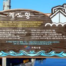 계도항 Daum카페