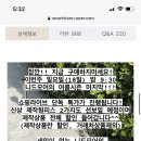 모어도트 이미지