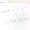 꿈꾸는 숲 이미지