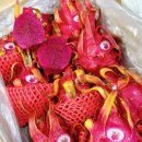 백용상회