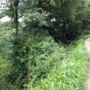 송라목장 이미지