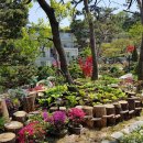 라성관광농원 이미지