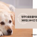 정강동물병원 이미지