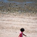 감 이야기 캠핑장 이미지