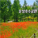 운정호수 공릉폭포 인근 | 운정호수공원 피크닉 주차장 음악분수