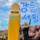 강릉 사근진해변 더퍼니서프 서핑, 스노쿨링 후기