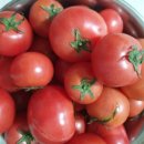 브니엘농장 이미지