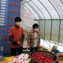 국희농장 이미지