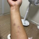 41 | 여자 쿠팡 알바 일용직 인천 41센터 입고 비추 후기와 꿀팁