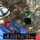 연하굴 이미지
