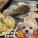 영광조개구이 무한리필 조치원점 이미지