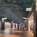 이모야토스트 | 텐진 지하상가 쇼핑｜ 이모야킨지로 고구마스틱, 칼디 스프레드