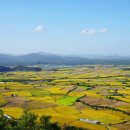 갈빛