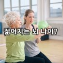 1년간 유산소 운동을 하면, 뇌 나이가 실제로 젊어진다?