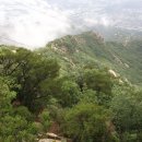 김성수행정사 이미지