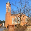 메이네B 이미지