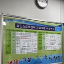 신답초등학교 | [숭인스포츠센터 수영장] 자유수영 후기 (킥판 사용 가능, 해수풀)