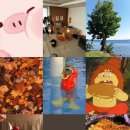 아정다방 이미지