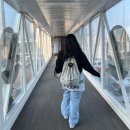 뉴 부영카 | 제주 여행 ① ( 뉴대한렌트카, 우진 해장국, 금오름=금악오름, 산방산, 부영 호텔 수영장, 마농 치킨...