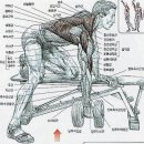 스포플렉스(가산점) 이미지