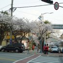 성원탑마트 이미지