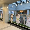 브룩스 캣 카페 이미지