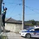 산외파출소 이미지