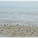 2009 여름 우리 가족 바다여행! 대천해수욕장 풍경 및 보령 갯벌체험2 이미지