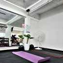 더 리얼핏 이미지