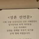 팔레드시즈 이미지