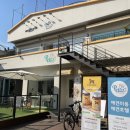 미미에토 | 연희동 애견카페 미미에토&amp;펫티즈 방문 후기