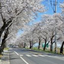 경주카서비스 이미지