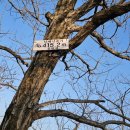 남해-139 이미지