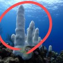 250425 뇌물 혐의 문재인 불구속기소… "딸 부부는 공범" 이미지