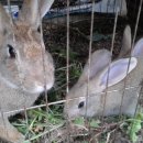 주원농장 이미지