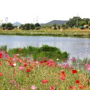 황룡강변2 이미지