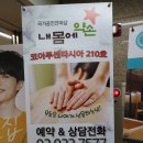 내손안마원 | 성신여대 경락 추천 내몸에약손이여라~
