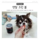 덴탈더드림 이미지