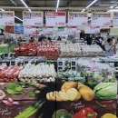 세종할인마트 이미지