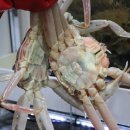 참좋은 유통 이미지