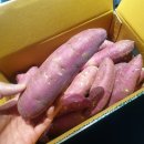 상우농산 이미지